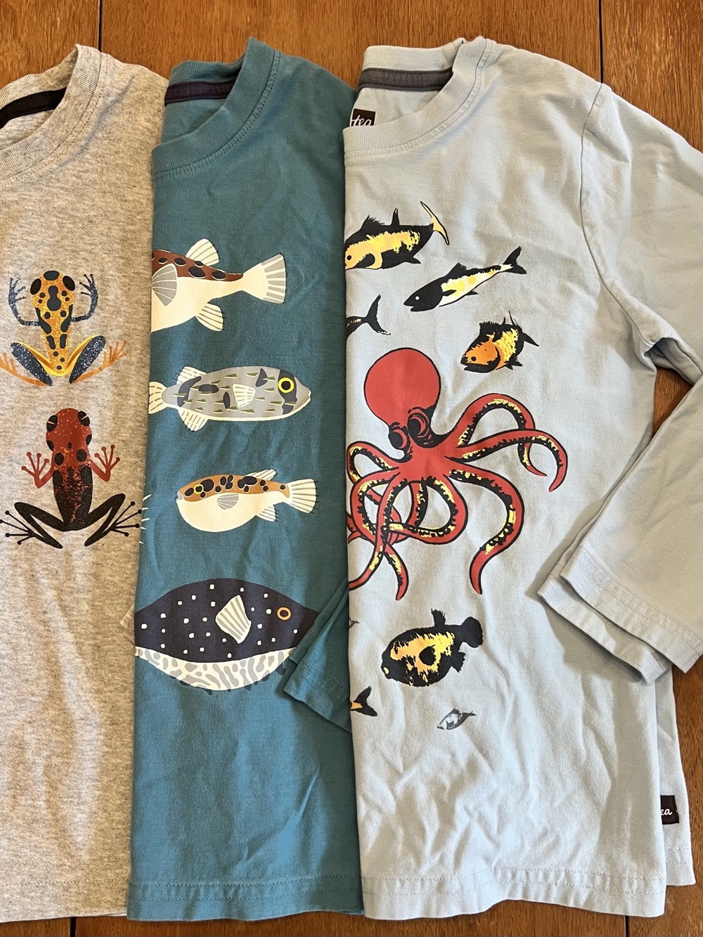 Tea Collection long sleeve boys t-shirt bundle